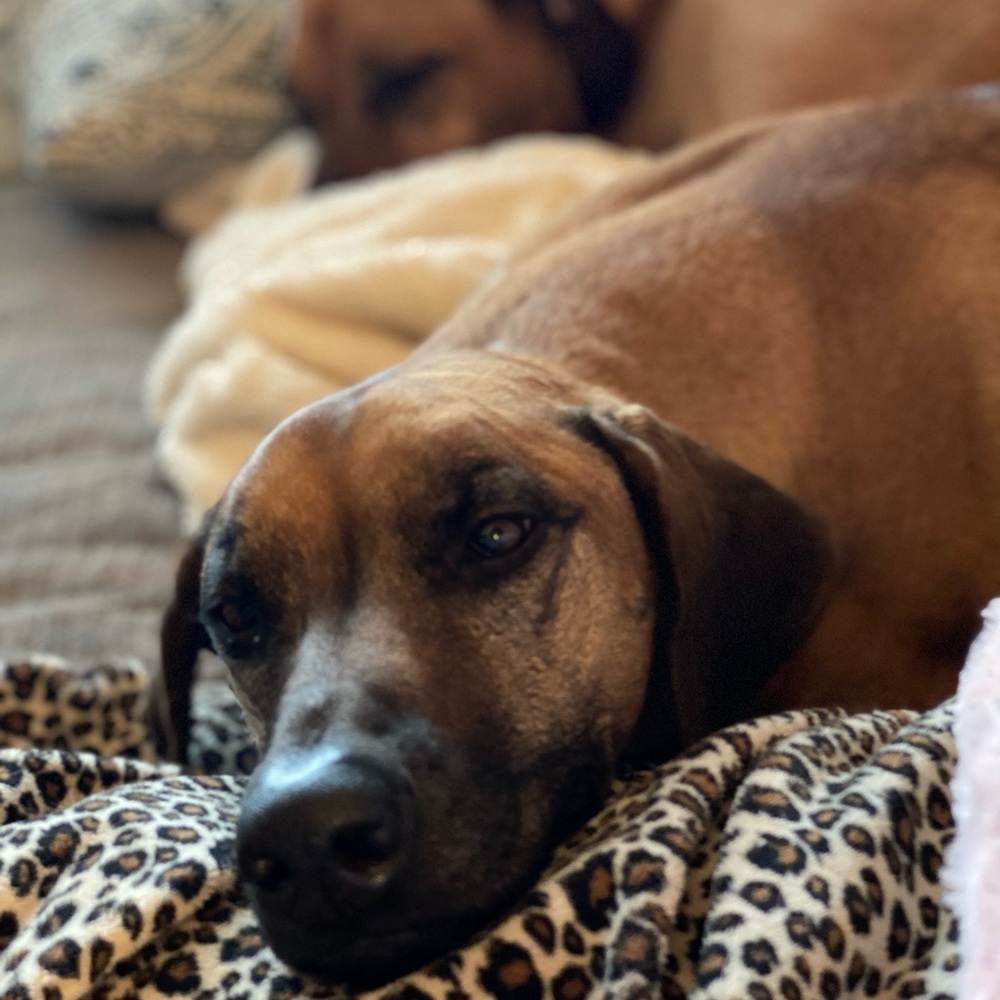 Meet your Posher, Sherri